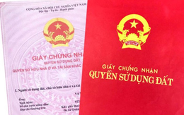 Thí điểm Trung tâm giao dịch bất động 789bet link mới một cửa liên thông, nhận sổ đỏ sau 2 ngày