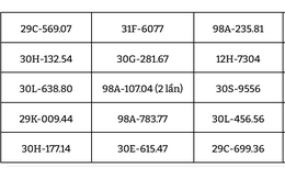 206 chủ xe đi nhà cái 789bet có biển số sau cần nhanh chóng nộp phạt nguội theo Nghị định 168