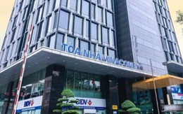 Vinaconex sắp chi gần 479 tỷ đồng trả cổ tức năm 2024