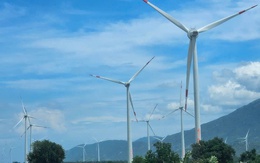 173 dự án điện gió, mặt trời đồng loạt "kêu cứu": Đề nghị giữ nguyên giá FIT