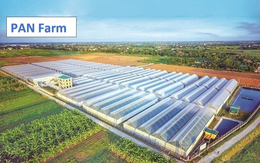 Một công ty con của Pan Group vay nợ ngân hàng tăng gấp 5,7 lần Một công ty con của Pan Group vay nợ ngân hàng tăng gấp 5,7 lần
