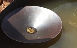 Cảnh sát ập vào một cơ sở kinh doanh, tịch thu 33 cây vàng và 2,1 tỷ đồng tiền mặt của một doanh nhân