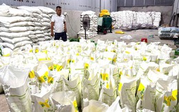 Bên tro789bet lừa đảo cô789bet lừa đảo ty 789bet lừa đảohi làm phân bón giả ở Đồ789bet lừa đảo Nai