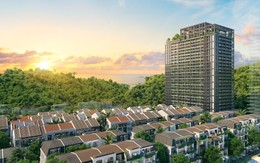 Dự án Sun Group tâm điểm thị trường căn hộ cho thuê tại trung tâm Cát Bà