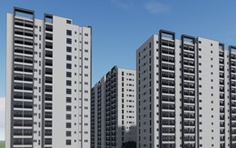 Thủ tục hành là chính, loạt lý do ‘bóp nghẹt’ doanh nghiệp Việt trên sân nhà