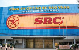 Cao su Sao Vàng chốt ngày trả cổ tức 2024 bằng tiền, Tập đoàn Hoành Sơn nhận về bao nhiêu? Cao su Sao Vàng chốt ngày trả cổ tức 2024 bằng tiền, Tập đoàn Hoành Sơn nhận về bao nhiêu?