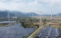 Loạt dự án năng lượng tái tạo ở Ninh Thuận 'lụt' tiến độ