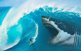 Góc nhìn chuyên gia: Nhịp điều chỉnh là "điều kiện cần" để bước vào sóng mới