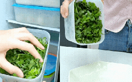 Bí quyết giữ rau thơm tươi lâu: Có nên trữ đông rau mùi (ngò rí)? Vì sao để tủ lạnh lại bị thâm đen?