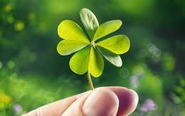 Ngành “biến người thường thành tỷ phú” ở 21 tỉnh phía Nam: Hàng triệu người tham gia chi ra số tiền hơn 140.000 tỷ, nhận về 68.000 tỷ, không ít người đổi đời Ngành “biến người thường thành tỷ phú” ở 21 tỉnh phía Nam: Hàng triệu người tham gia chi ra số tiền hơn 140.000 tỷ, nhận về 68.000 tỷ, không ít người đổi đời