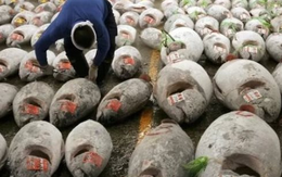 Một mặt hàng của Việt Nam ngày càng đắt hàng tại Nga: Thu gần 64 triệu USD kể từ đầu năm, nước ta xuất khẩu đứng thứ 3 thế giới