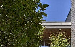 Nhà phố thiết kế cho người mê nấu nướng, cà phê ngoài trời