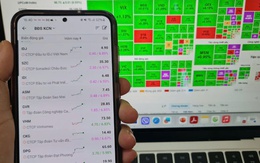 Điều gì khiến cổ phiếu thủy sản, dệt may, xây dựng... đồng loạt tăng trần?