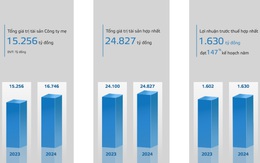 Năm 2025, Viglacera đặt mục tiêu lợi nhuận hợp nhất 1.743 tỷ đồng Năm 2025, Viglacera đặt mục tiêu lợi nhuận hợp nhất 1.743 tỷ đồng