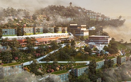 Cam kết lợi nhuận bằng USD, cuộc chơi mới của giới nhà giàu