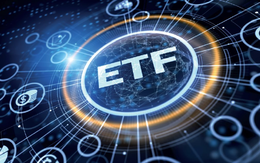 Hai quỹ VNM ETF và FTSE ETF sẽ "săn lùng" cổ phiếu nào trong kỳ cơ cấu quý 2/2025? Hai quỹ VNM ETF và FTSE ETF sẽ "săn lùng" cổ phiếu nào trong kỳ cơ cấu quý 2/2025?
