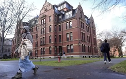 Cơn sốc của sinh viên quốc tế ở Harvard