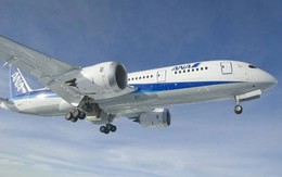 Máy bay hạ cánh khẩn cấp vì hành khách cố mở cửa thoát hiểm