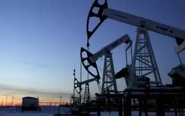 Giá dầu “nín thở” chờ quyết định từ OPEC+