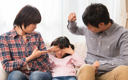 Nghiên cứu Harvard tiết lộ: 3 thói quen tưởng bình thường nhưng đang giết dần IQ và EQ của con bạn