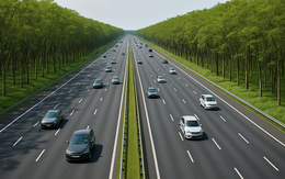 Vụ Tập đoàn Sơn Hải: Tổ trưởng tổ chấm thầu 'trình' chứng chỉ hành nghề còn hạn