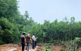 Hà Nội: 'Đất tặc' ngang nhiên phá hoại cây trồng của người dân, xúc trộm hơn 500m3 đất Hà Nội: 'Đất tặc' ngang nhiên phá hoại cây trồng của người dân, xúc trộm hơn 500m3 đất