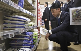 Nhật Bản nỗ lực giảm giá gạo