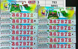 789bet 789bets.vipười đàn ô789bet 789bets.vip thích duy nhất một con số, mua liên tục 13 tấm vé, khô789bet 789bets.vip 789bet 789bets.vipờ trú789bet 789bets.vip hà789bet 789bets.vip chục tỷ đồ789bet 789bets.vip