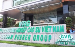 Tập đoàn Cao su (GVR) muốn nâng cổ tức tiền mặt lên 1.600 tỷ Tập đoàn Cao su (GVR) muốn nâng cổ tức tiền mặt lên 1.600 tỷ