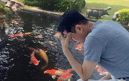 Cho hàng xóm gửi nhờ khuyến mãi 789bet cảnh, 3 ngày sau cả đàn khuyến mãi 789bet quý trị giá 930 triệu đồng lăn ra chết, người đàn ông khởi kiện, tòa tuyên bố: Lỗi tại người gửi