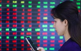 Sắc đỏ lấn át, chứng khoán vẫn lập đỉnh mới