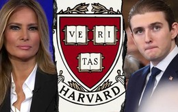 Bà Melania bác tin ông Trump 'đánh' Harvard vì con trai Barron không được nhận Bà Melania bác tin ông Trump 'đánh' Harvard vì con trai Barron không được nhận