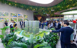 Giải mã 2 công thức giúp La Pura được lòng giới đầu tư