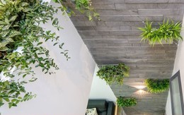 7 giải pháp thông gió tự nhiên hiệu quả cho nhà ống 7 giải pháp thông gió tự nhiên hiệu quả cho nhà ống