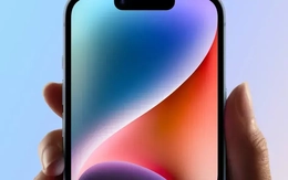 Xuất khẩu iPhone từ Ấn Độ sang Mỹ tăng vọt, gấp ba lần Trung Quốc