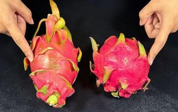 Chủ vườn thanh long tiết lộ: Muốn mua quả ngọt đậm, dày cùi chỉ cần liếc mắt nhìn 4 điểm