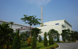 Kim Trường Phúc tiên phong chuyển đổi năng lượng xanh bền vững trong vận hành lò hơi Kim Trường Phúc tiên phong chuyển đổi năng lượng xanh bền vững trong vận hành lò hơi