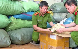 Thủ tướng yêu cầu đẩy nhanh điều tra vụ sữa giả, thuốc giả