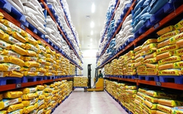 Bất ngờ sức hấp dẫn gạo Việt Nam ở thị trường Nhật Bản