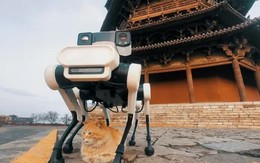 Robot chó 6 chân bảo tồn chùa gỗ cổ nhất, cao link 789bet
