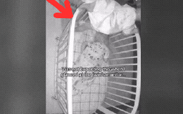Kiểm tra camera 789bet.com đăng nhập của con sáng sớm, bà mẹ ngay lập tức bật khóc khi thấy cảnh này: "Đó là điều tuyệt vời nhất tôi từng thấy trên Internet"