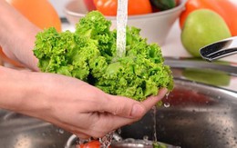 Nghiên cứu Mỹ chỉ ra cách rửa rau củ quả có thể loại bỏ thuốc trừ sâu hiệu quả: Vừa an toàn lại còn rẻ