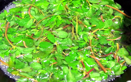 2 loại rau không lo "ngậm" thuốc trừ sâu, loại đầu bảng người Việt ít ai hay