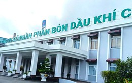Thay đổi lãnh đạo tại Công ty phân bón dầu khí Cà Mau