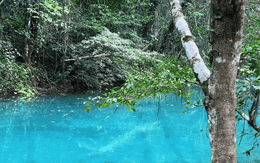 Con suối nước xanh như ngọc, nhìn thấy tận đáy khiến nhiều người trầm trồ: Thì ra màu nước là có lý do