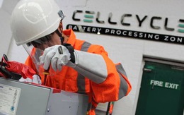 Vi khuẩn 50 triệu năm tuổi mở ra tương lai tái chế pin xanh và sạch hơn