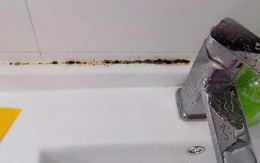 Cảnh báo: 4 vật dụng trong nhà này là "kho formaldehyde", cả nhà "trúng độc" mà không biết Cảnh báo: 4 vật dụng trong nhà này là "kho formaldehyde", cả nhà "trúng độc" mà không biết