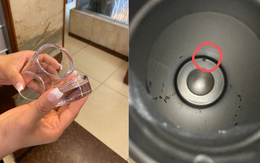 Cảnh báo: 4 loại cốc bạn tin dùng hàng ngày là "lò luyện bệnh tật", cần vứt đi khẩn cấp!