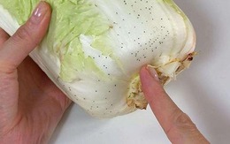 Đi chợ thấy loại rau này xuất hiện đốm đen, đừng vội "quay xe" kẻo phí của trời!