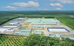 Doanh thu giảm, lãi ròng BAF Việt Nam quý I/2025 vẫn tăng 12,5% Doanh thu giảm, lãi ròng BAF Việt Nam quý I/2025 vẫn tăng 12,5%